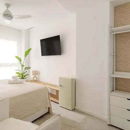 Almare Con Aire Acondicionado Y Wifi Apartment